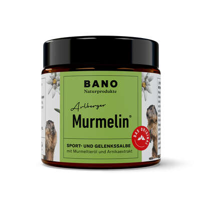 Sie sehen eine Packung MURMELIN SPORT UND GELENKSSALBE 100ml, 100 Milliliter, Produktbild: 01 MURMELIN SPORT UND GELENKSSALBE 100ml, 100 Milliliter, A-Nr.: 5075304 - 01