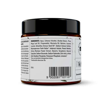 Sie sehen eine Packung MURMELIN SPORT UND GELENKSSALBE 100ml, 100 Milliliter, Produktbild: 03 MURMELIN SPORT UND GELENKSSALBE 100ml, 100 Milliliter, A-Nr.: 5075304 - 03