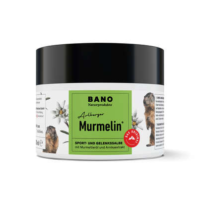 Sie sehen eine Packung Murmelin Natur Sport und Gelenkssalbe, 200 Milliliter, Produktbild: 01 Murmelin Natur Sport und Gelenkssalbe, 200 Milliliter, A-Nr.: 0823351 - 01