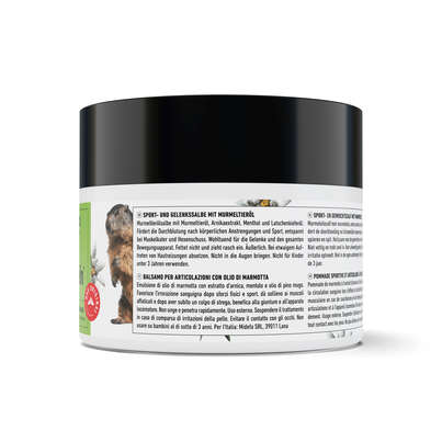 Sie sehen eine Packung Murmelin Natur Sport und Gelenkssalbe, 200 Milliliter, Produktbild: 04 Murmelin Natur Sport und Gelenkssalbe, 200 Milliliter, A-Nr.: 0823351 - 04