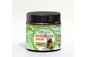 Exmonte Murmeltiersalbe 100ml, 100 Milliliter, A-Nr.: 3594394 - 01