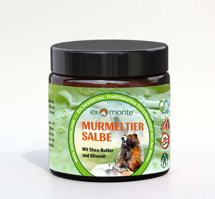 Sie sehen eine Packung Exmonte Murmeltiersalbe 100ml, 100 Milliliter, Produktbild: 01 Exmonte Murmeltiersalbe 100ml, 100 Milliliter, A-Nr.: 3594394 - 01