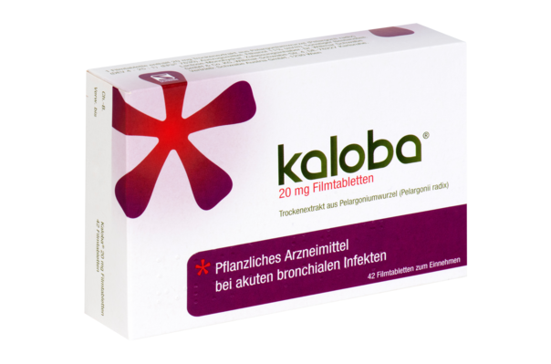 Sie sehen eine Packung Kaloba® 20 mg Filmtabletten, 42 Stück, Produktbild: 01 Kaloba® 20 mg Filmtabletten, 42 Stück, A-Nr.: 4958591 - 01