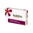 Sie sehen eine Packung Kaloba® 20 mg Filmtabletten, 42 Stück, Produktbild: 02 Kaloba® 20 mg Filmtabletten, 42 Stück, A-Nr.: 4958591 - 02