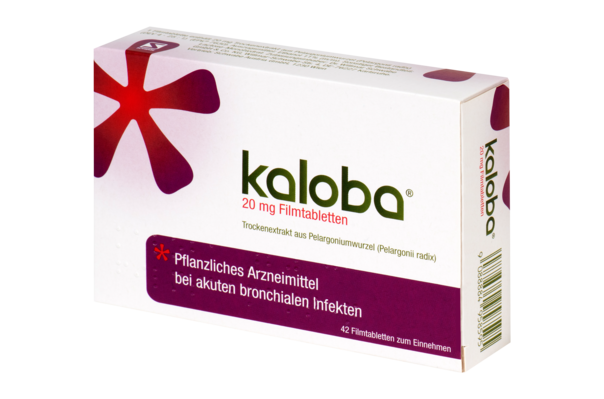 Sie sehen eine Packung Kaloba® 20 mg Filmtabletten, 42 Stück, Produktbild: 02 Kaloba® 20 mg Filmtabletten, 42 Stück, A-Nr.: 4958591 - 02