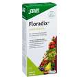 Sie sehen eine Packung Floradix® Eisen plus B12, 250 Milliliter, Produktbild: 01 Floradix® Eisen plus B12, 250 Milliliter, A-Nr.: 4355289 - 01