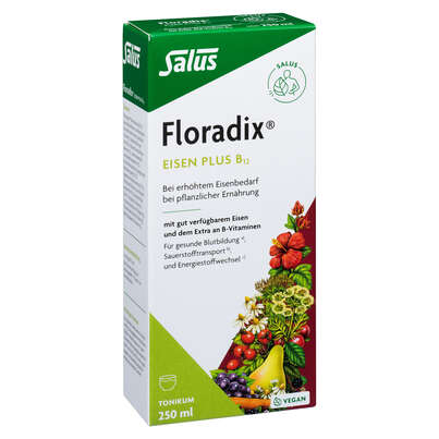 Sie sehen eine Packung Floradix® Eisen plus B12, 250 Milliliter, Produktbild: 01 Floradix® Eisen plus B12, 250 Milliliter, A-Nr.: 4355289 - 01