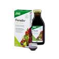 Sie sehen eine Packung Floradix® Eisen plus B12, 250 Milliliter, Produktbild: 02 Floradix® Eisen plus B12, 250 Milliliter, A-Nr.: 4355289 - 02