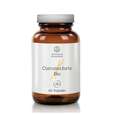Shanab Curcuma forte Bio Kapseln, 60 Stück, A-Nr.: 4765343 - 01