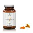 Shanab Curcuma forte Bio Kapseln, 60 Stück, A-Nr.: 4765343 - 03