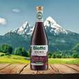 Sie sehen eine Packung Biotta ROTE BETE Bio, 500 Milliliter, Produktbild: 03 Biotta ROTE BETE Bio, 500 Milliliter, A-Nr.: 4248470 - 03
