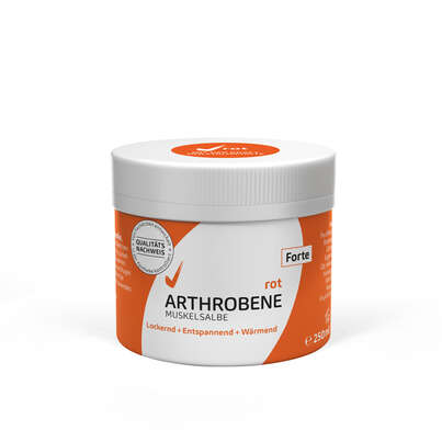 Sie sehen eine Packung ARTHROBENE Muskelsalbe Rot, 250 Milliliter, Produktbild: 01 ARTHROBENE Muskelsalbe Rot, 250 Milliliter, A-Nr.: 3141936 - 01