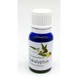 Sie sehen eine Packung Aethera Eucalyptusöl, 10 Milliliter, Produktbild: 01 Aethera Eucalyptusöl, 10 Milliliter, A-Nr.: 2981396 - 01