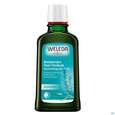 Sie sehen eine Packung Weleda Haar-tonikum Belebend 100ml, Produktbild: 02 Weleda Haar-tonikum Belebend 100ml, A-Nr.: 4021915 - 02