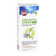 Sie sehen eine Packung EMS NA-SPRAY SINUSITIS FTE, 15 Milliliter, Produktbild: 02 EMS NA-SPRAY SINUSITIS FTE, 15 Milliliter, A-Nr.: 4535850 - 02