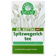 Sie sehen eine Packung Kottas Spitzwegerichtee, 20 Stück, Produktbild: 03 Kottas Spitzwegerichtee, 20 Stück, A-Nr.: 3886286 - 03