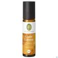 Sie sehen eine Packung Primavera Duft Roll-on Bio Gute Laune 10ml, Produktbild: 02 Primavera Duft Roll-on Bio Gute Laune 10ml, A-Nr.: 3161531 - 02