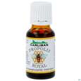 PROPOLIS TR LEHAR, 15 Milliliter, A-Nr.: 0663261 - 01