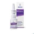 Sie sehen eine Packung RHINODORON NA-SPRAY+ALOE V., 20 Milliliter, Produktbild: 04 RHINODORON NA-SPRAY+ALOE V., 20 Milliliter, A-Nr.: 2378234 - 04