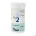 Sie sehen eine Packung Schuess 2 Calc Phos D 6 Pflu 100g, Produktbild: 02 Schuess 2 Calc Phos D 6 Pflu 100g, A-Nr.: 3703251 - 02