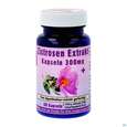 Sie sehen eine Packung Zistrosen Kapseln Extrakt 300mg Plus 60st, Produktbild: 02 Zistrosen Kapseln Extrakt 300mg Plus 60st, A-Nr.: 4254921 - 02