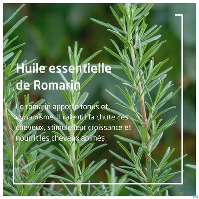 Sie sehen eine Packung Weleda Rosmarin Aktivierungsbad 200ml, Produktbild: 05 Weleda Rosmarin Aktivierungsbad 200ml, A-Nr.: 5034469 - 05